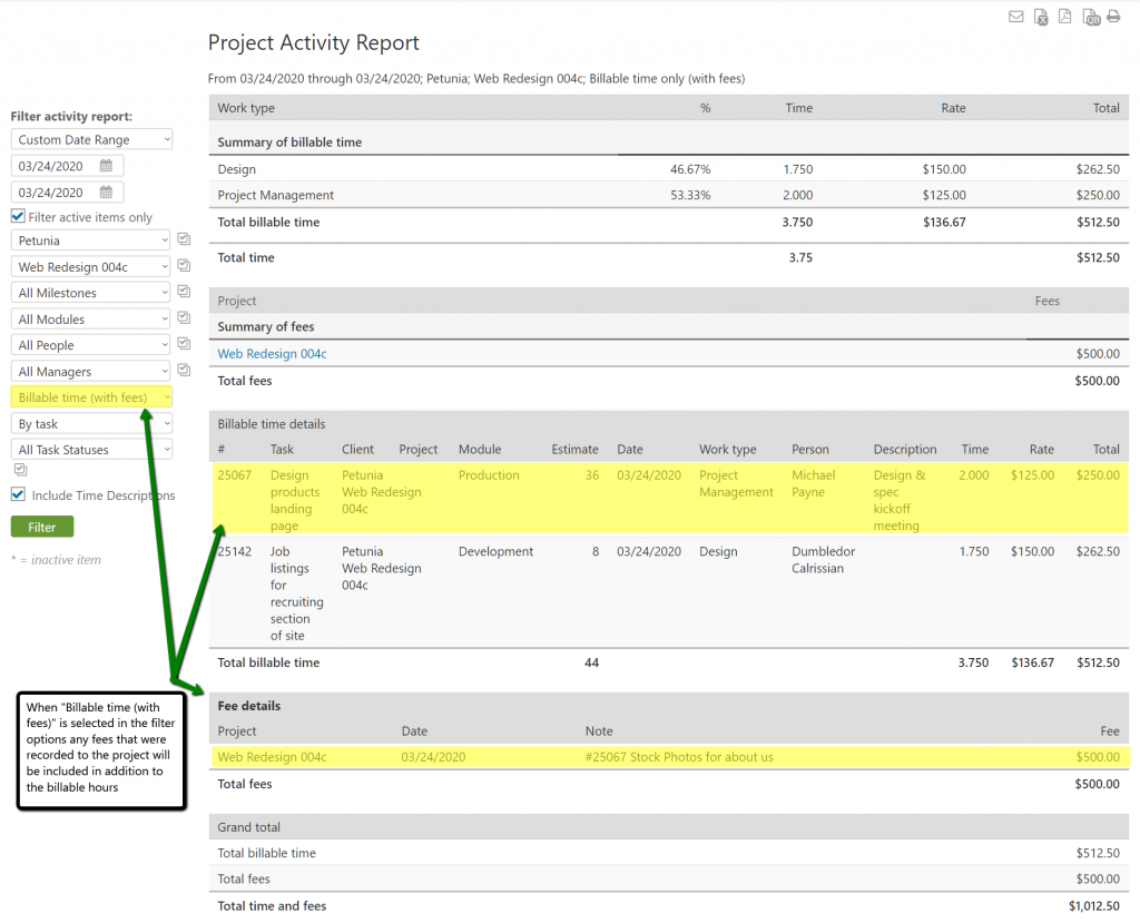 Project Activity Report with Task