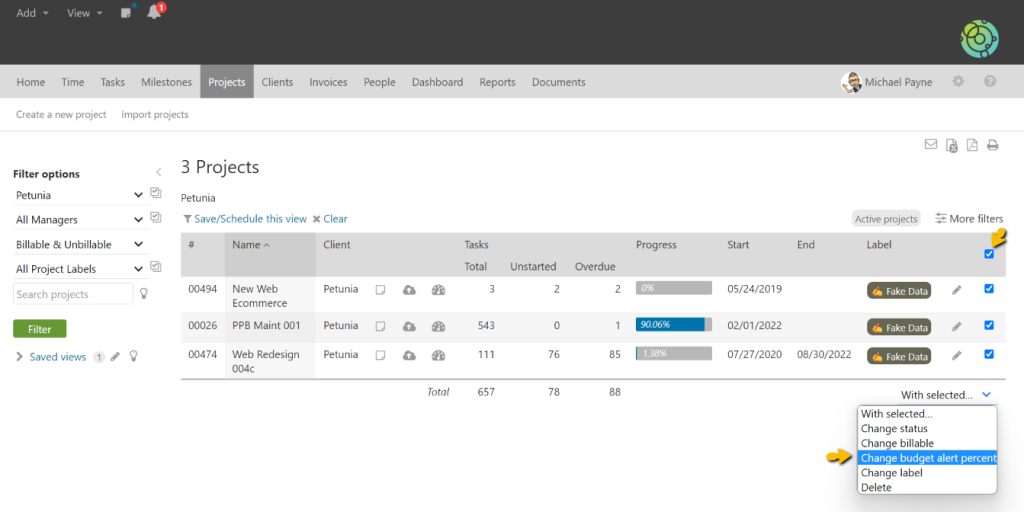 Bulk Edit Project Budgets